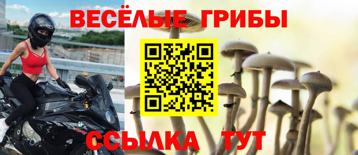 купить наркотик  Вход с VPN  Добрянка  Псилоцибиновые грибы MAGIC MUSHROOMS  Псилоцибиновые грибы Psilocybe 