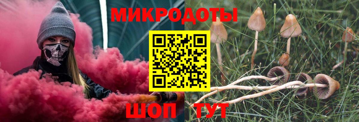 Псилоцибиновые грибы Psilocybine cubensis Добрянка